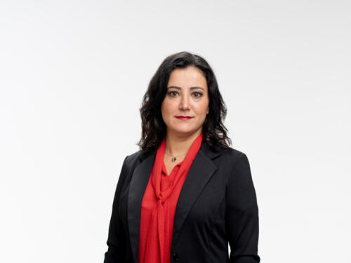 Gökay Akbulut 2021.05 t.mardo 364