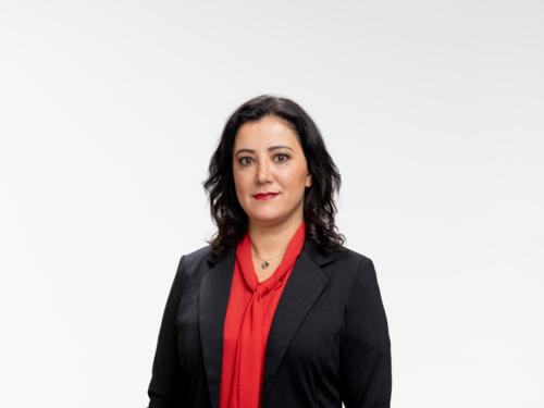 Gökay Akbulut 2021.05 t.mardo 368
