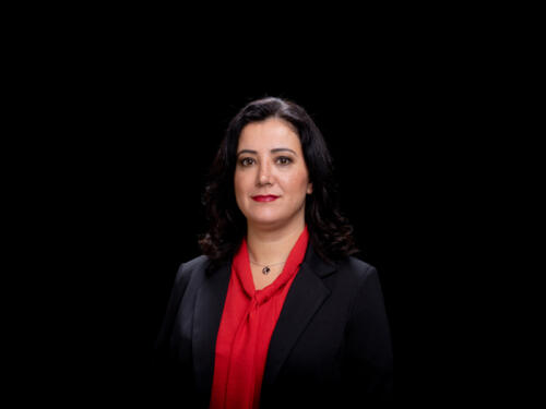 Gökay Akbulut 2021.05 t.mardo 423