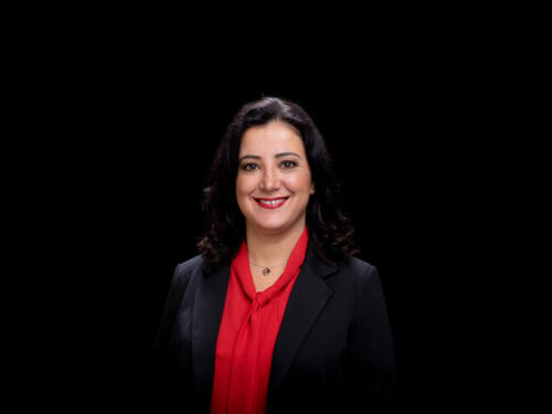Gökay Akbulut 2021.05 t.mardo 435