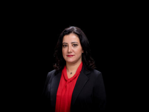 Gökay Akbulut 2021.05 t.mardo 437