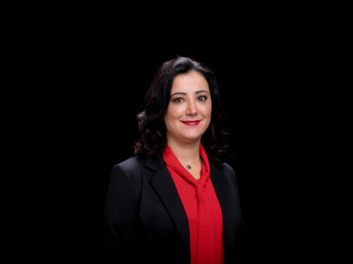 Gökay Akbulut 2021.05 t.mardo 445
