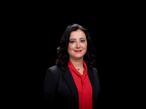 Gökay Akbulut 2021.05 t.mardo 446