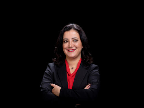 Gökay Akbulut 2021.05 t.mardo 464