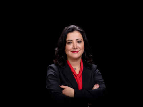 Gökay Akbulut 2021.05 t.mardo 475