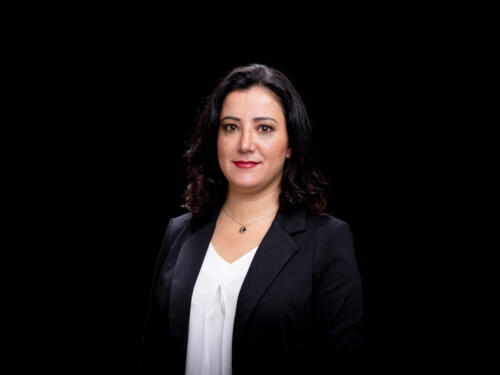 Gökay Akbulut 2021.05 t.mardo 559