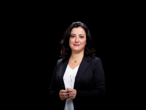 Gökay Akbulut 2021.05 t.mardo 577