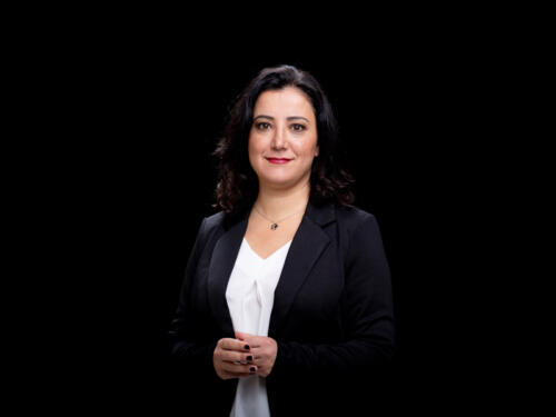 Gökay Akbulut 2021.05 t.mardo 580