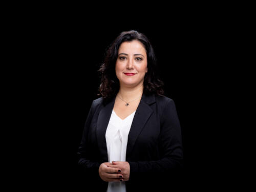 Gökay Akbulut 2021.05 t.mardo 581
