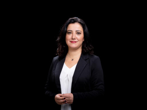 Gökay Akbulut 2021.05 t.mardo 582