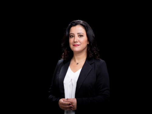 Gökay Akbulut 2021.05 t.mardo 587