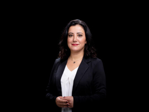 Gökay Akbulut 2021.05 t.mardo 588