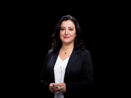Gökay Akbulut 2021.05 t.mardo 589